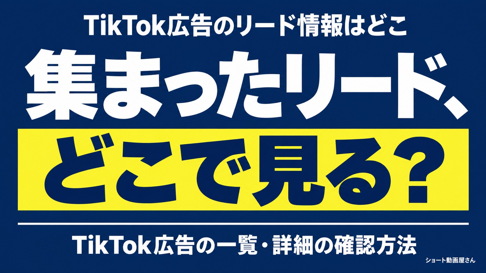 TikTok広告のリード情報はどこ？一覧と詳細の確認手順のアイキャッチ画像